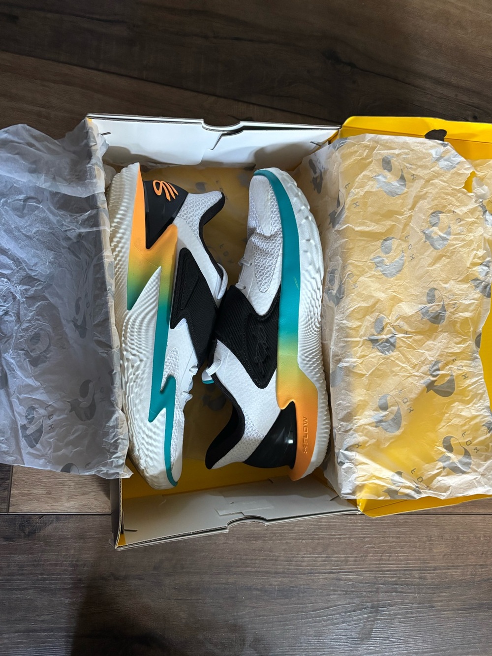 Curry d-fox basketball shoes